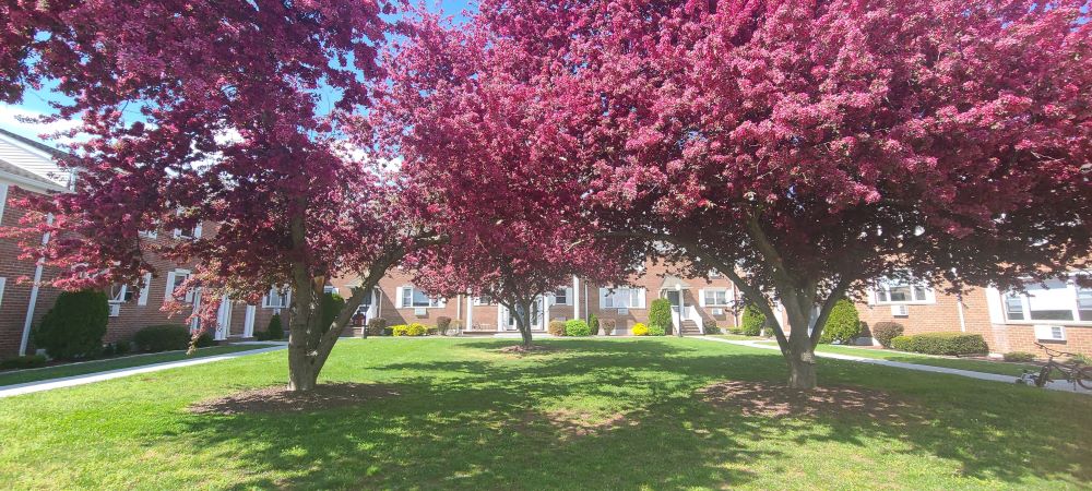 Modern kitchen with granite countertops at Colonial Village, Glastonbury CT