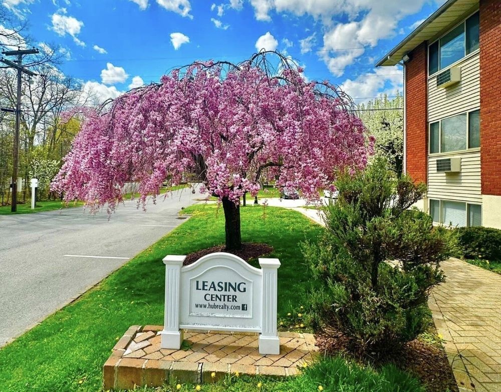 Dutchess Apartments interior
